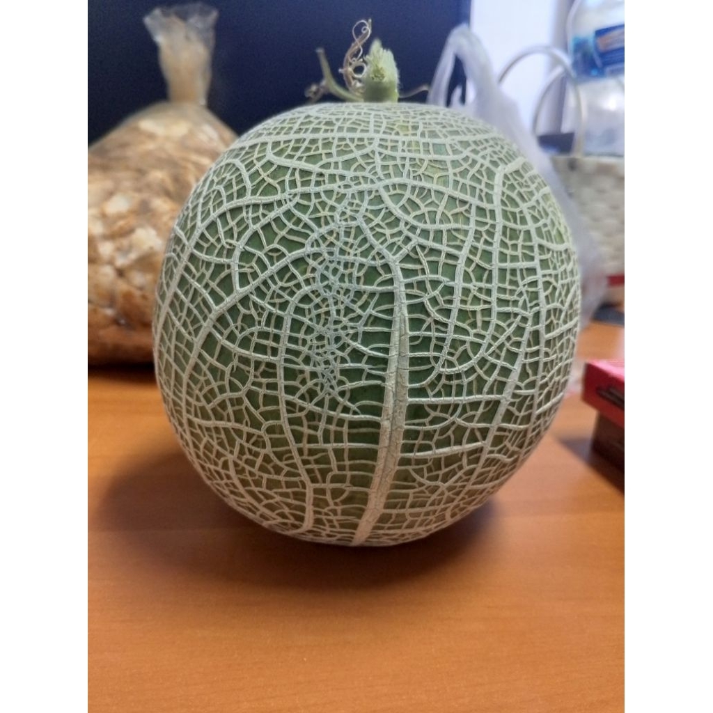 Melon Yubari King (Pre-order 14 Hari)