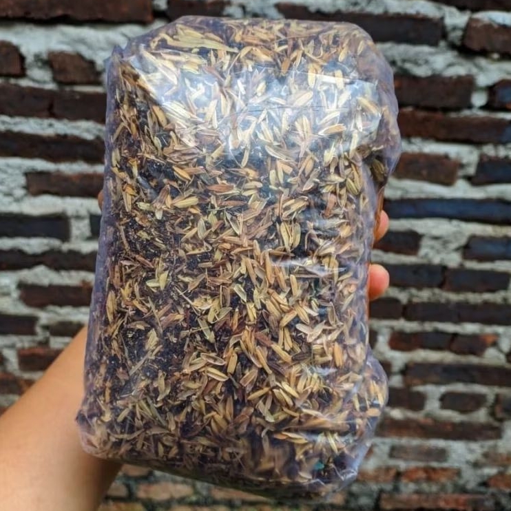 Media Tanam Siap pakai Sukulen Dan Kaktus