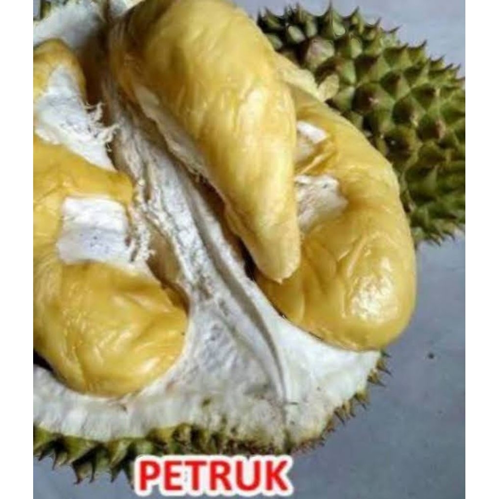 BUAH DURIAN PETRUK BULAT UTUH FRESH MANIS