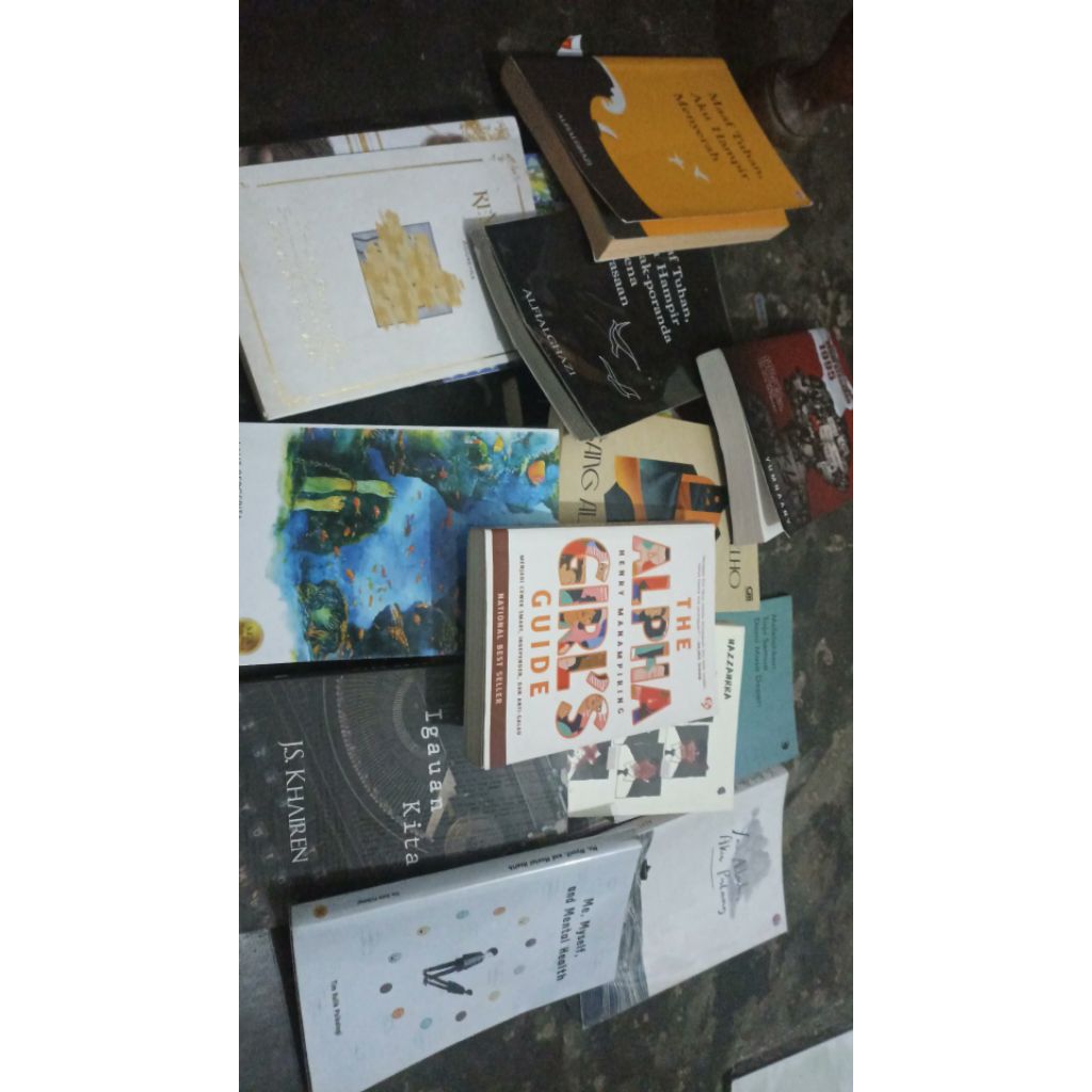 Novel 3