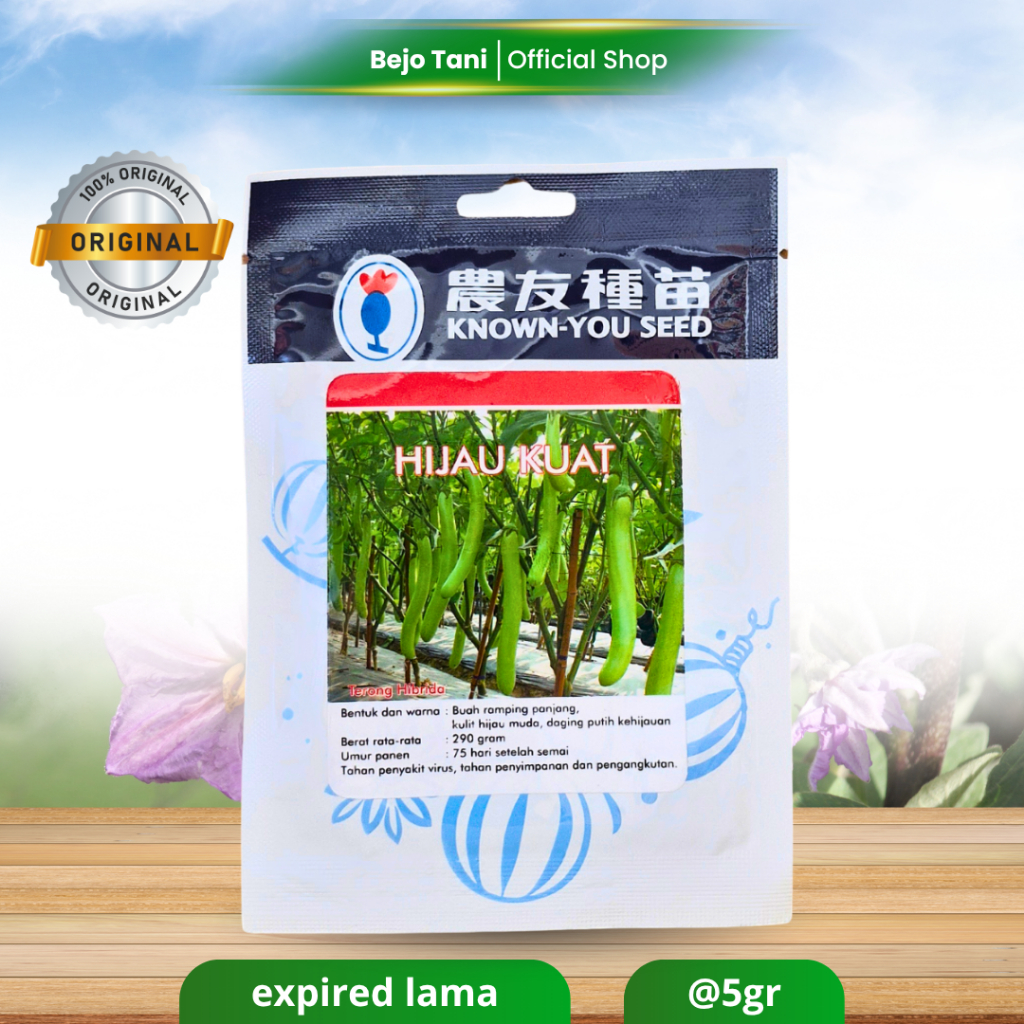 Benih Terong HIJAU KUAT 5gr Kemasan Asli Known You Seed Bibit Terong Original Known You Seed