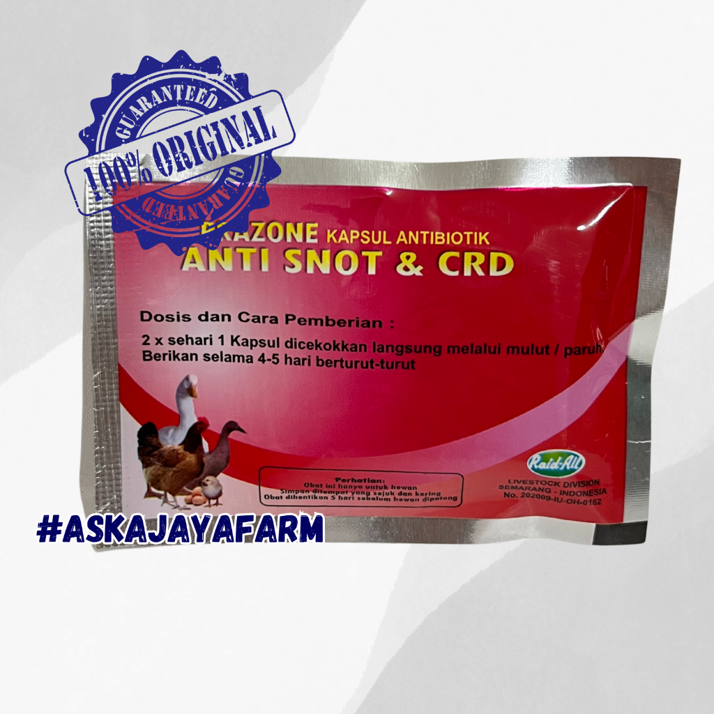 PRAZONE KAPSUL ANTI SNOT & CRD | Obat Ayam Ngorok Pilek Muka Bengkak