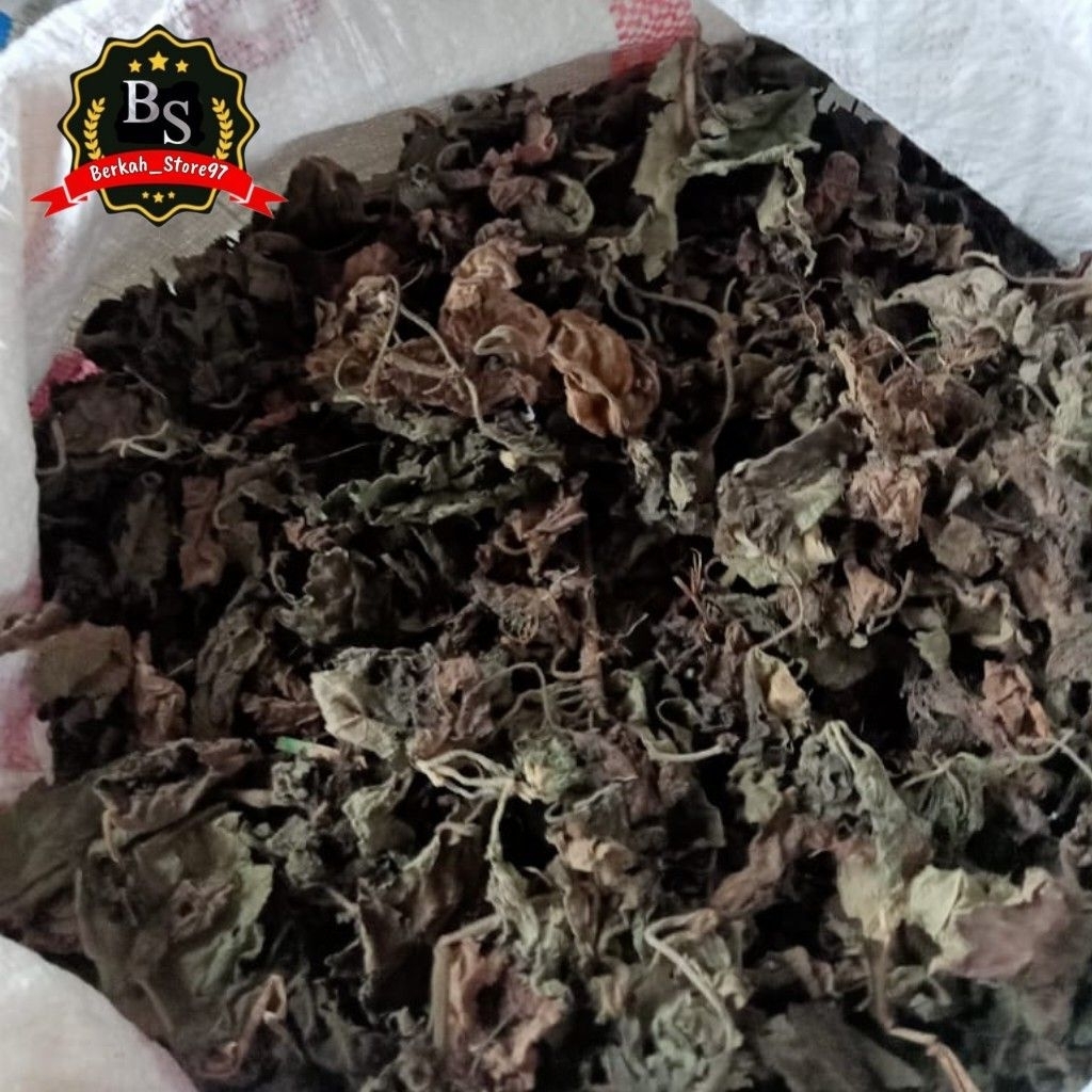 1 KG DAUN NILAM KERING SUPER BAHAN MINYAK ATSIRI WANGI