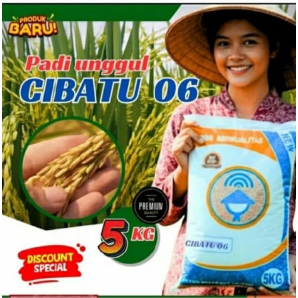 padi unggul cibatu 06 5kg