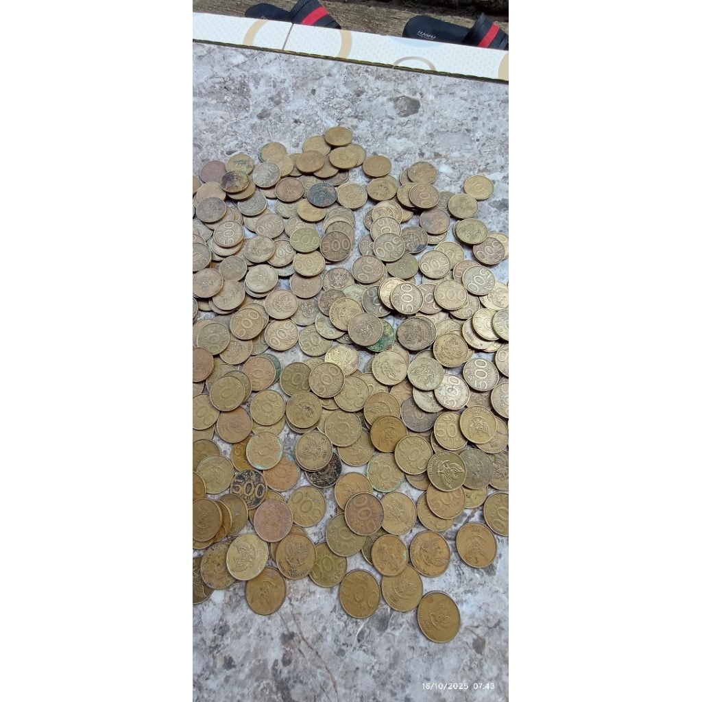 KOIN 500 KUNING | mysucculentplant