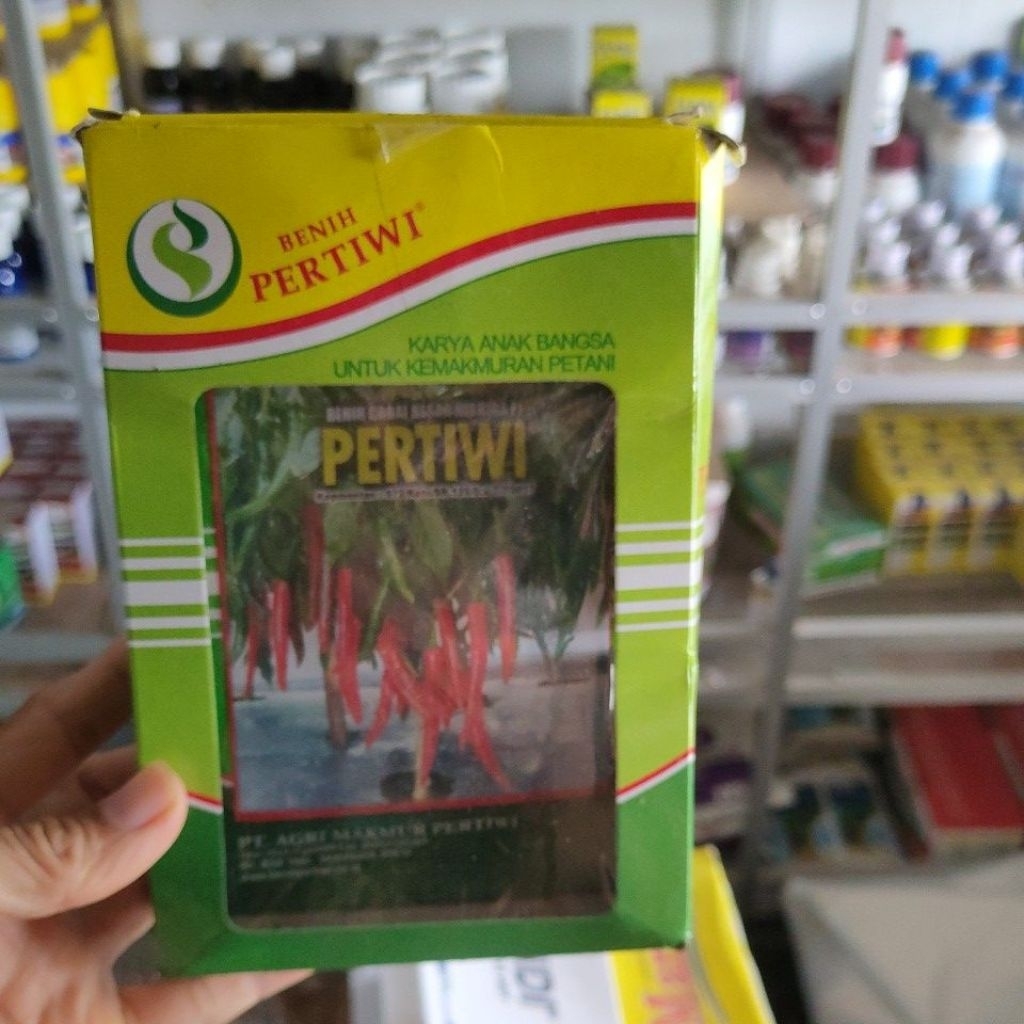 BENIH CABAI BESAR HIBRIDA F1 PERTIWI 10 gr