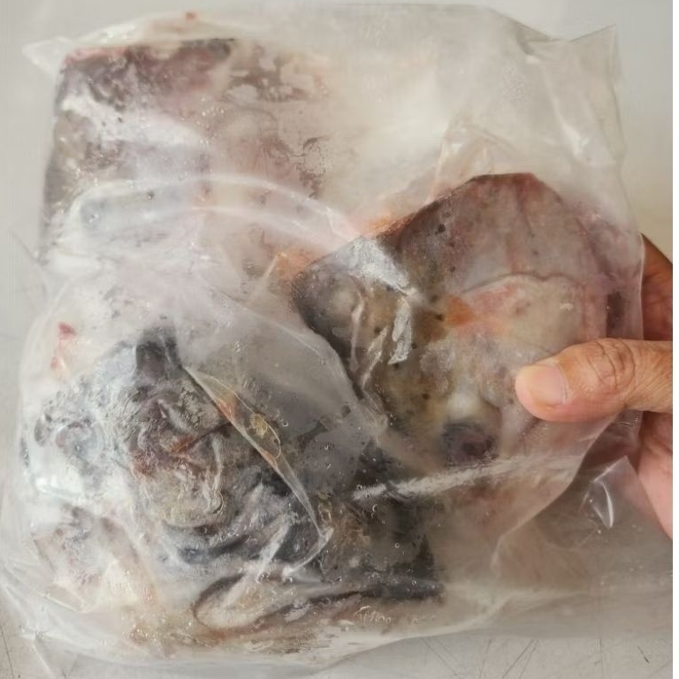 KEPALA IKAN SALMON 1 KG