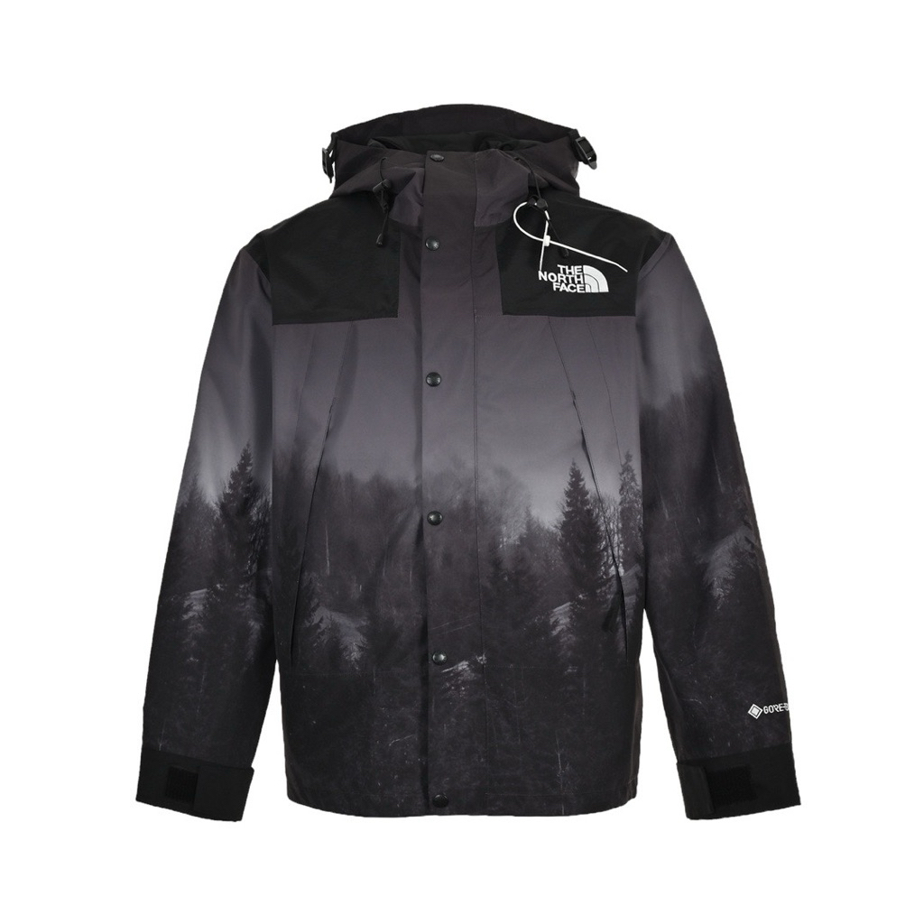 Jacket TNF Gore-Tex Mountain Vista Black