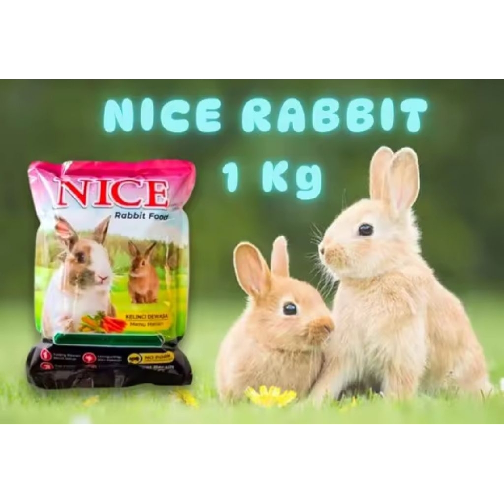 Pakan kelinci Nice