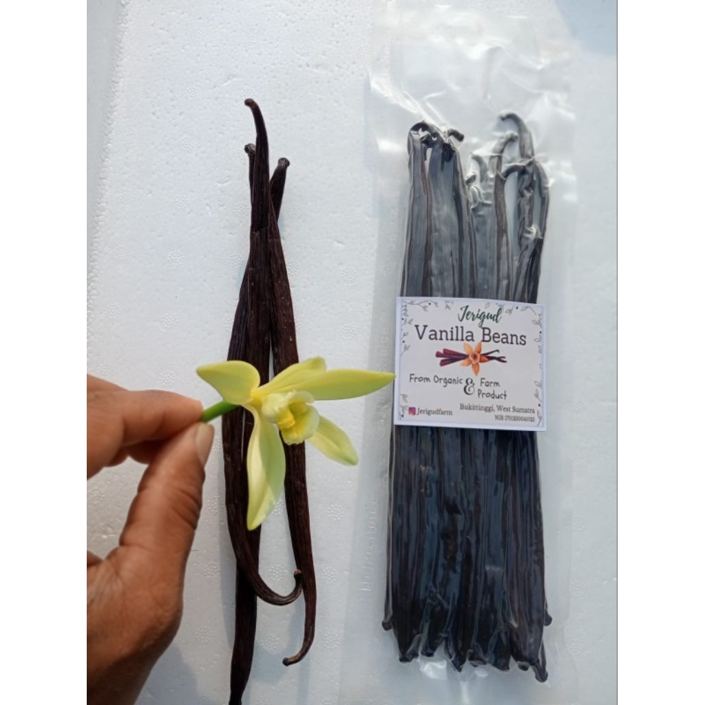 Vanilla Beans/Vanilla Gourmet/Vanilla Bourbon