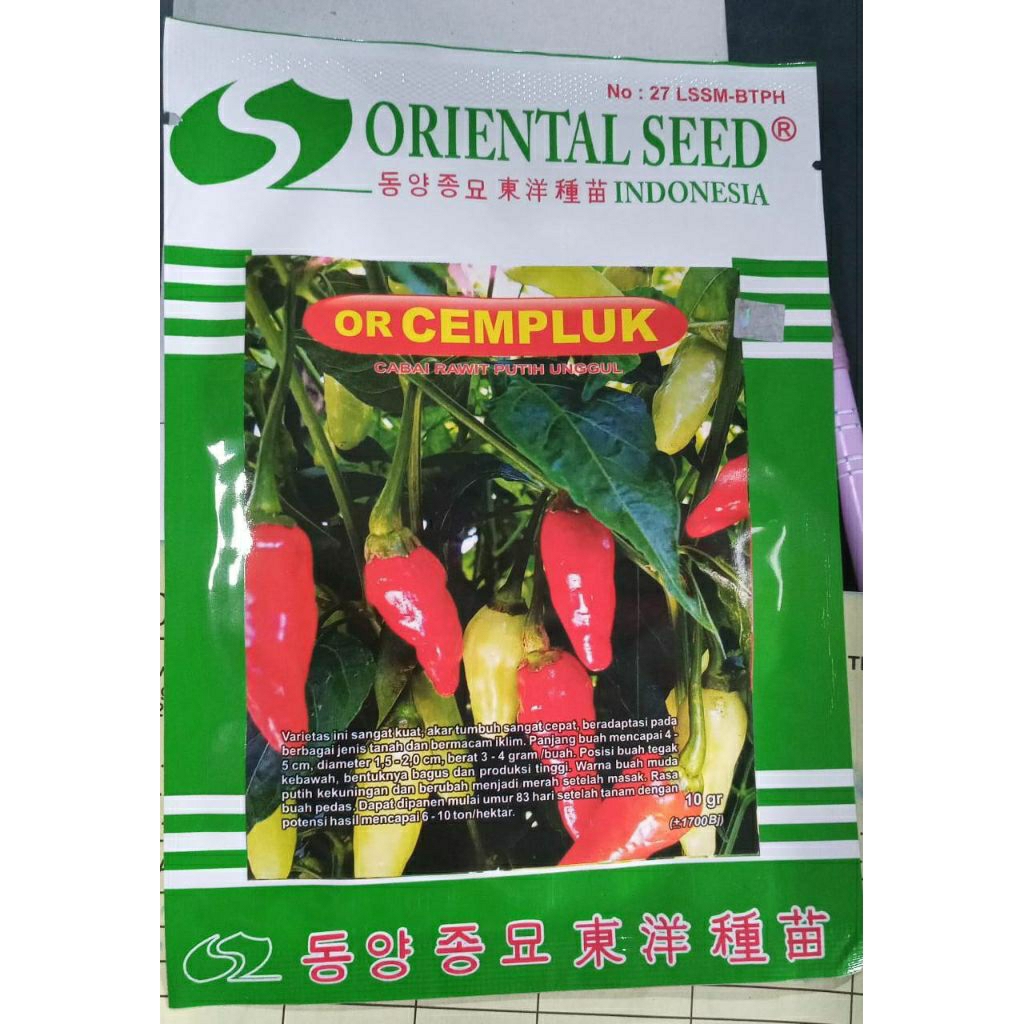 CABE RAWIT OR CEMPLUK