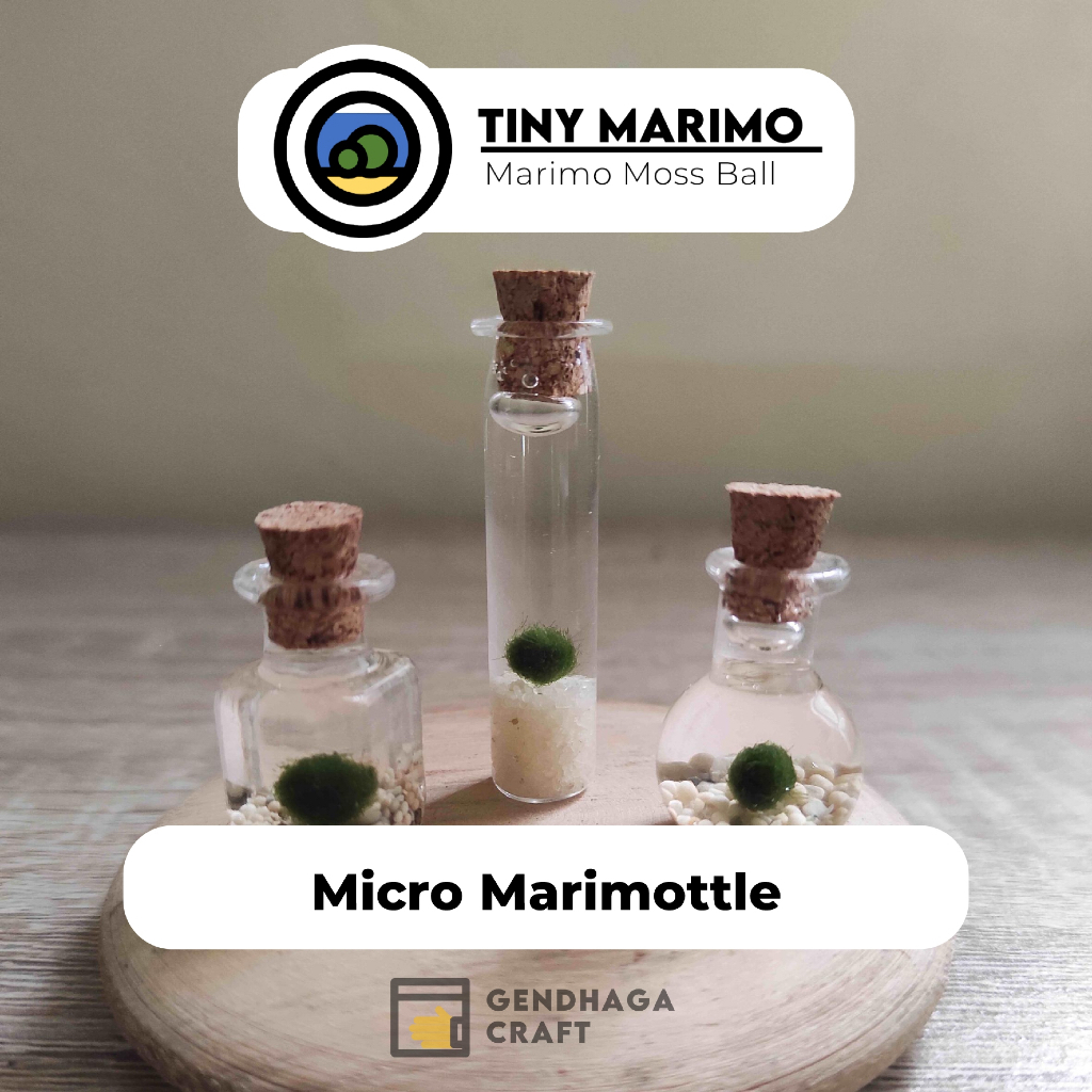[DIY] Tiny Marimo - Micro Marimottle