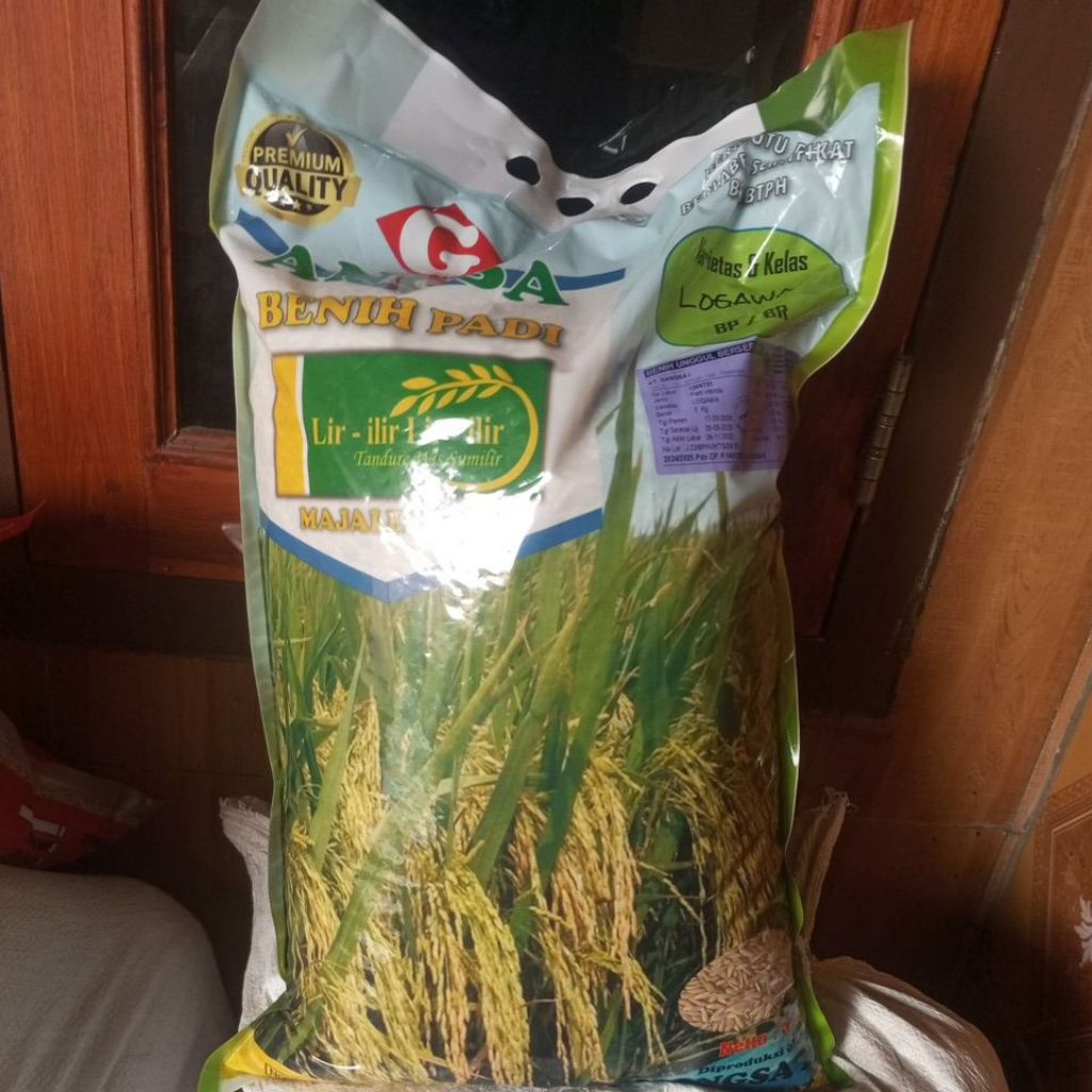 Benih padi Logawa