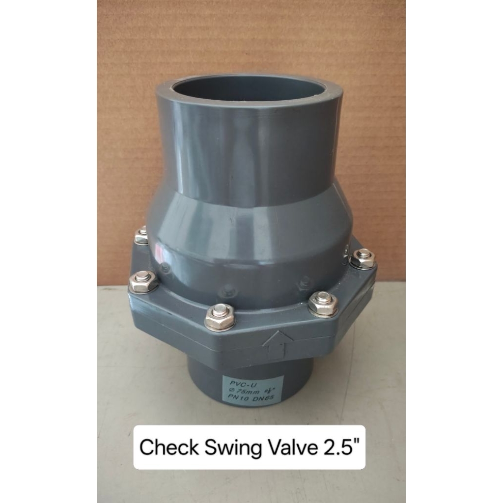 Check Swing Valve PVC 2.5"