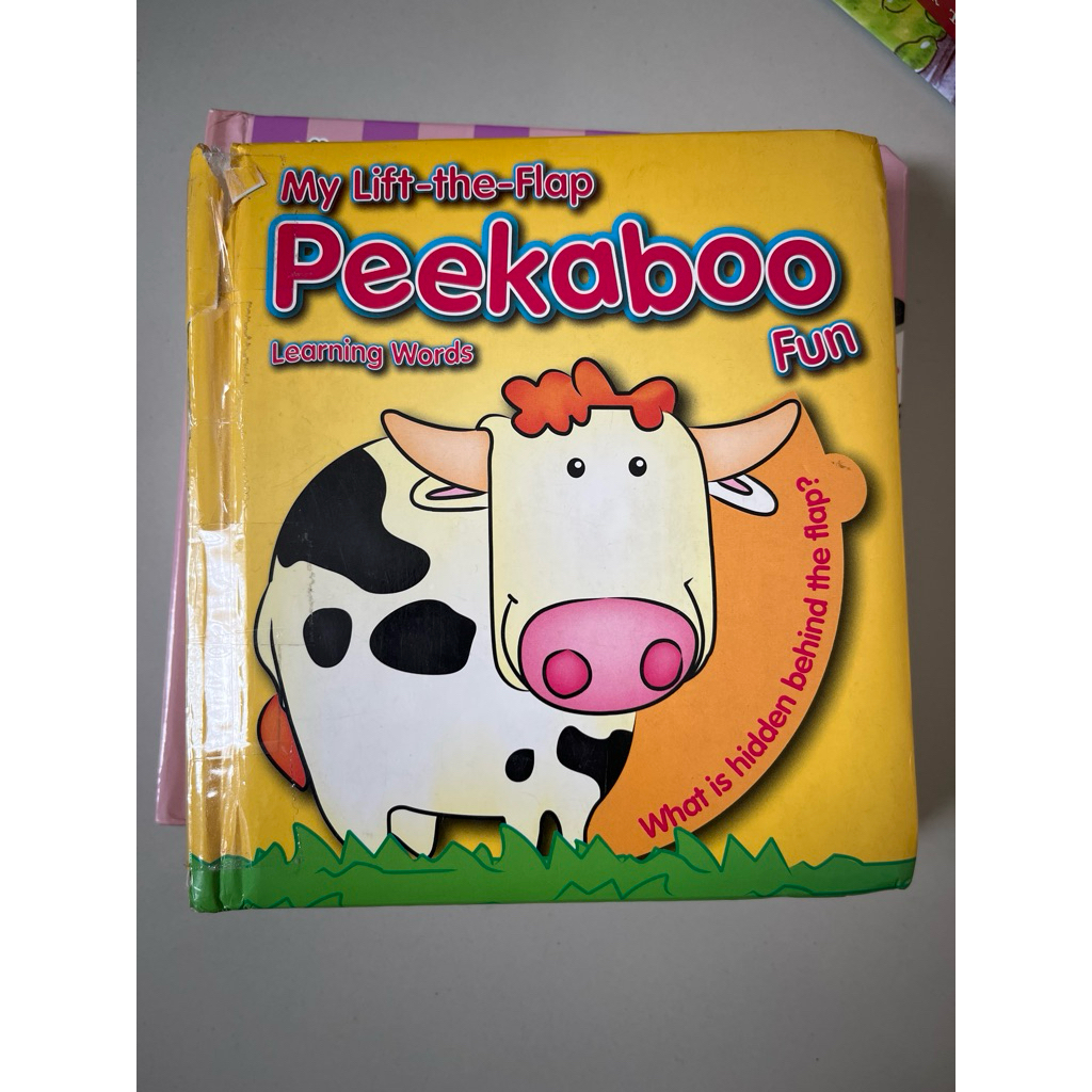 preloved book lift the flap peekaboo