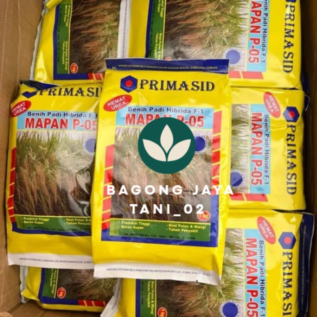 Benih Padi Hibrida F-1 MAPAN P-05