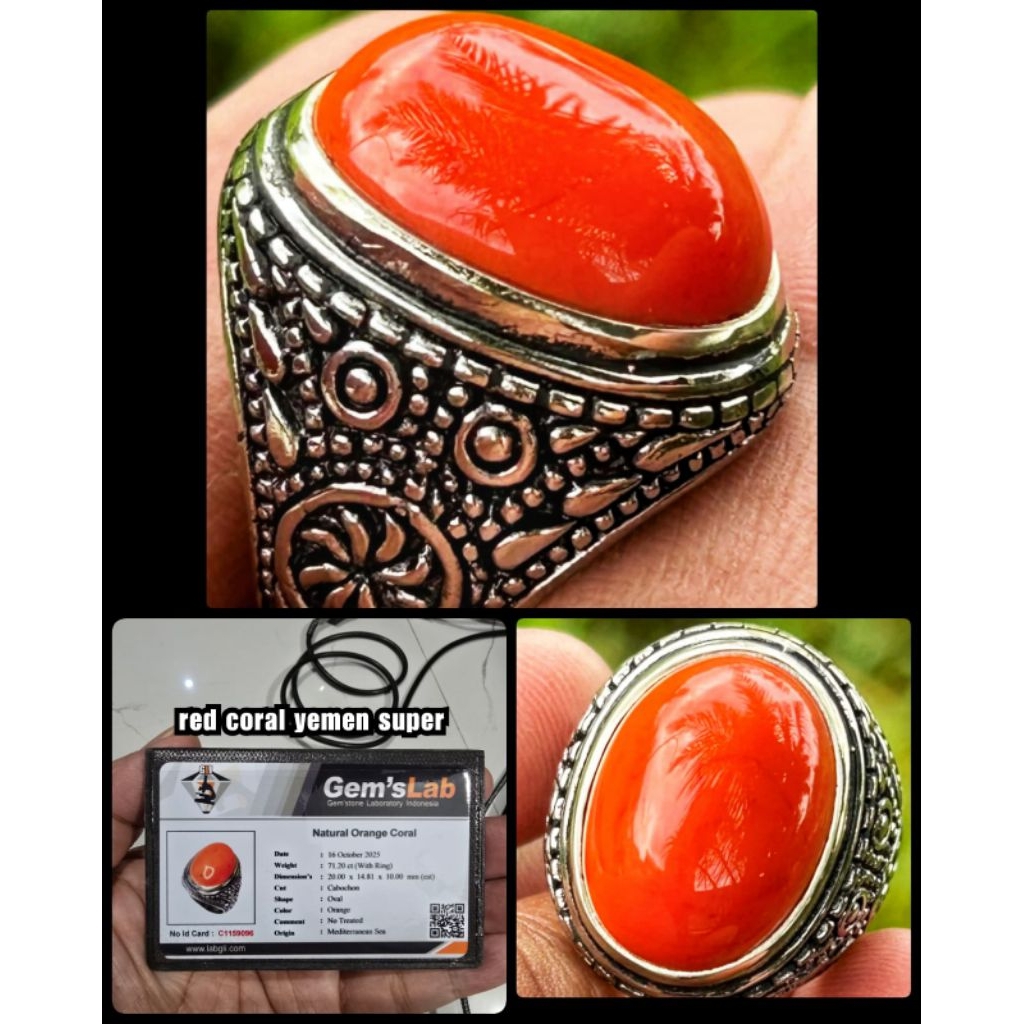 original batu Marjan merah jumbo super asli laut merah