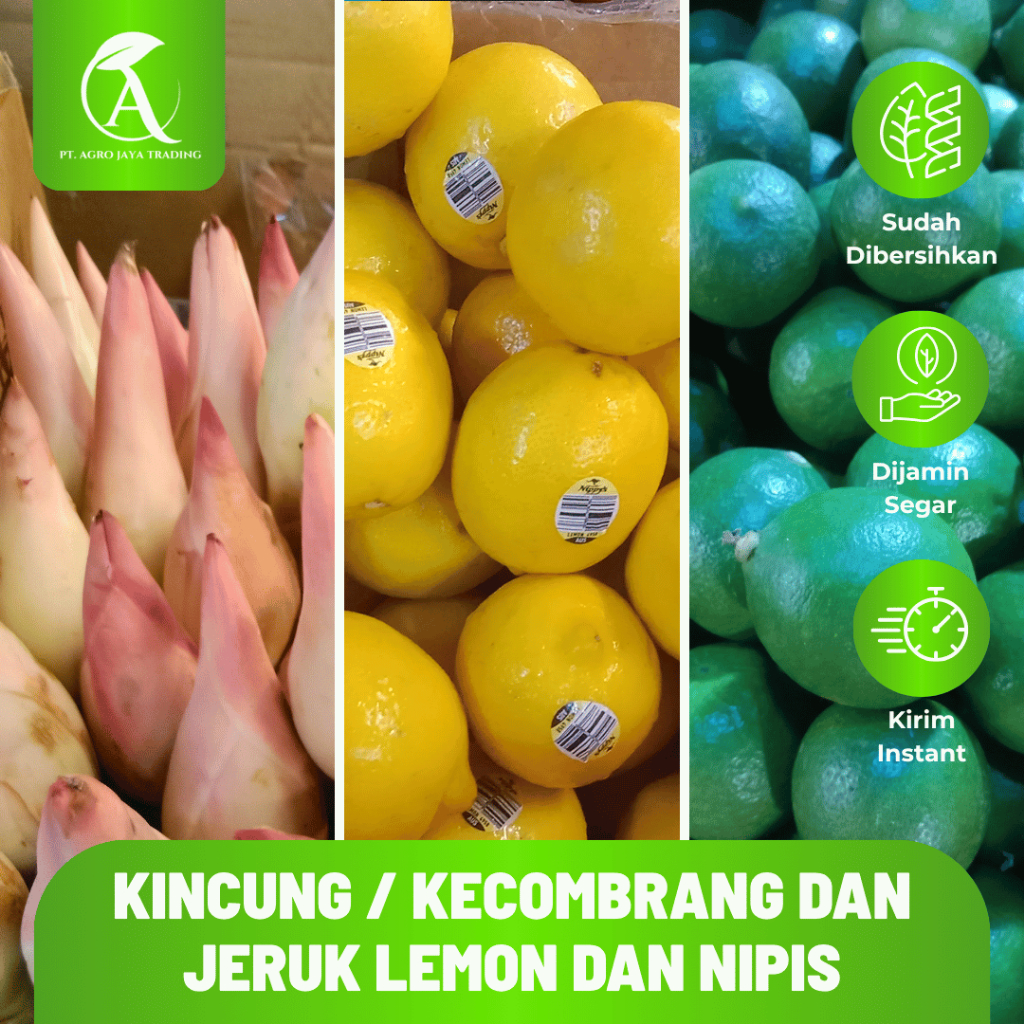 Kecombrang Kincung Honje Segar Fresh & Andaliman Medan + Jeruk Nipis Lemon Kasturi Premium