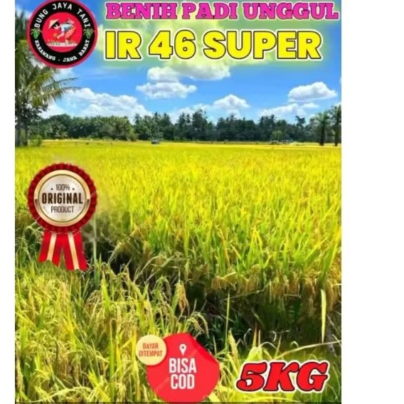 benih padi ir 46 super boy kemasan 5kg