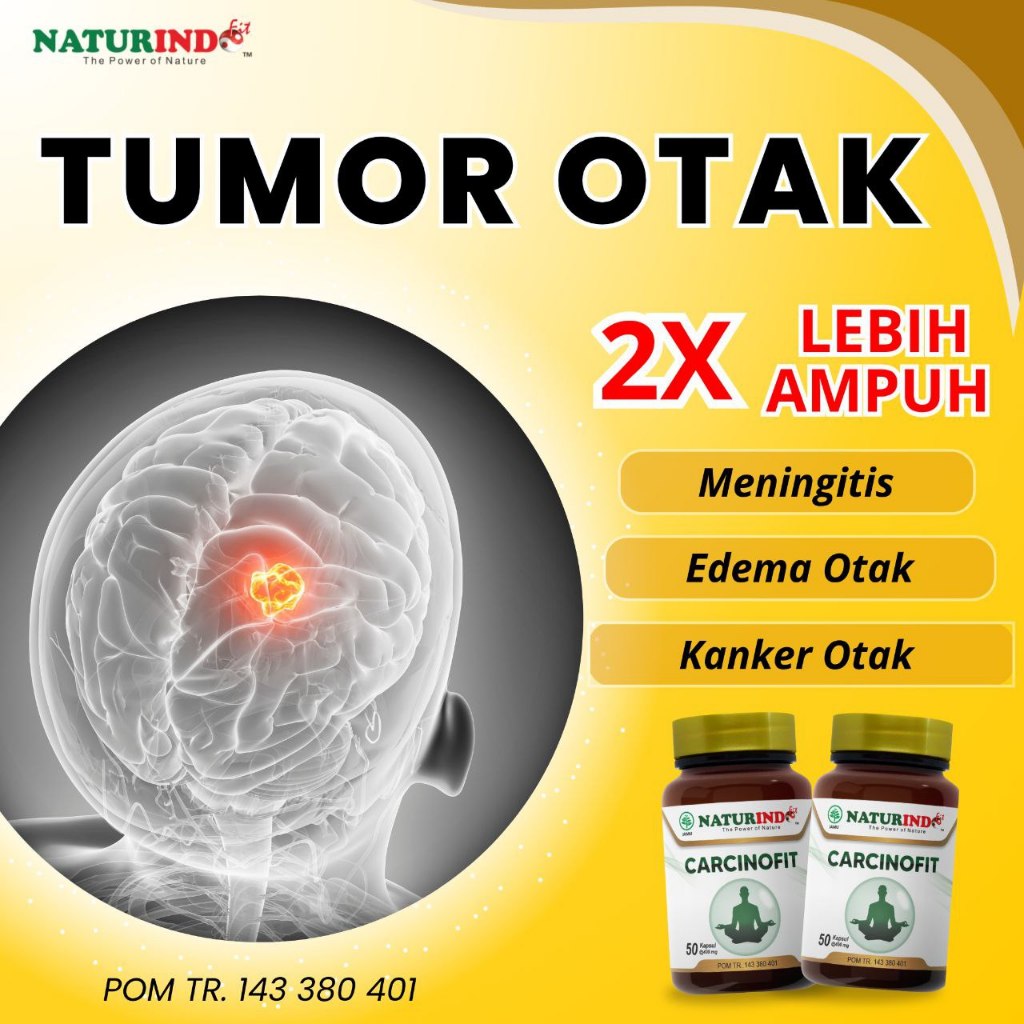 Obat Tumor Otak Meningitis Edema Kanker Otak Herbal Alami