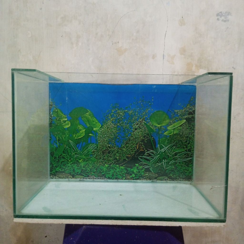 aquarium kaca 40x25x25 & 40x25x30
