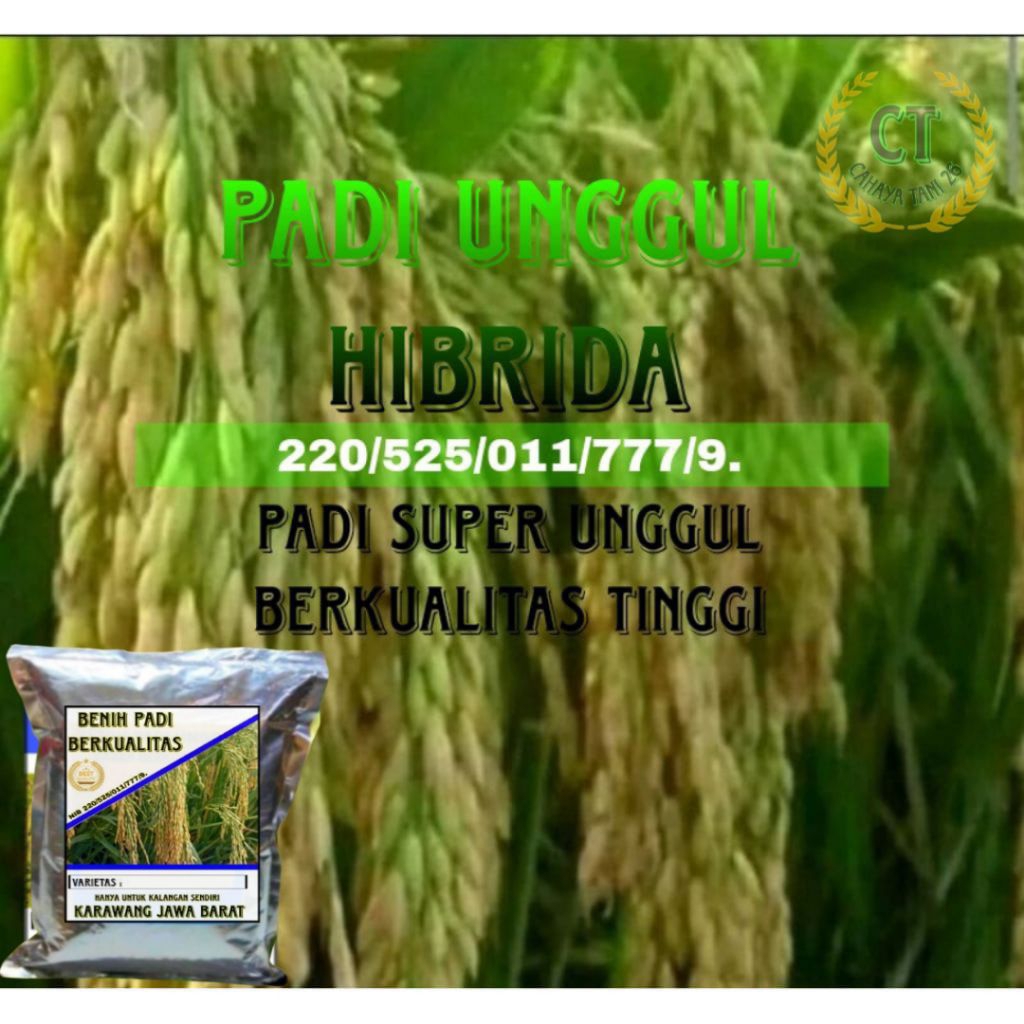BENIH PADI SUPER UNGGUL HIBRIDA 1KG