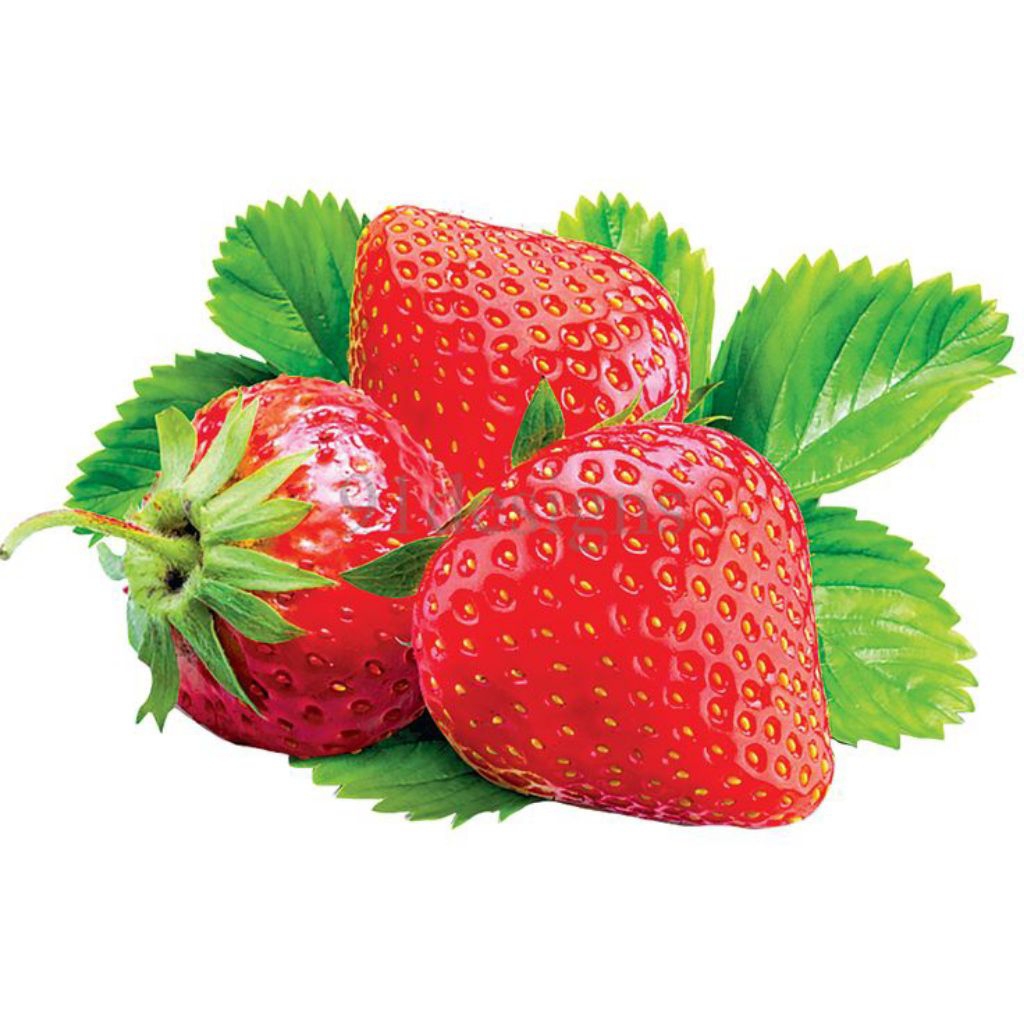 Bibit strawberry/bibit buah strawberry/strawberry/bibit