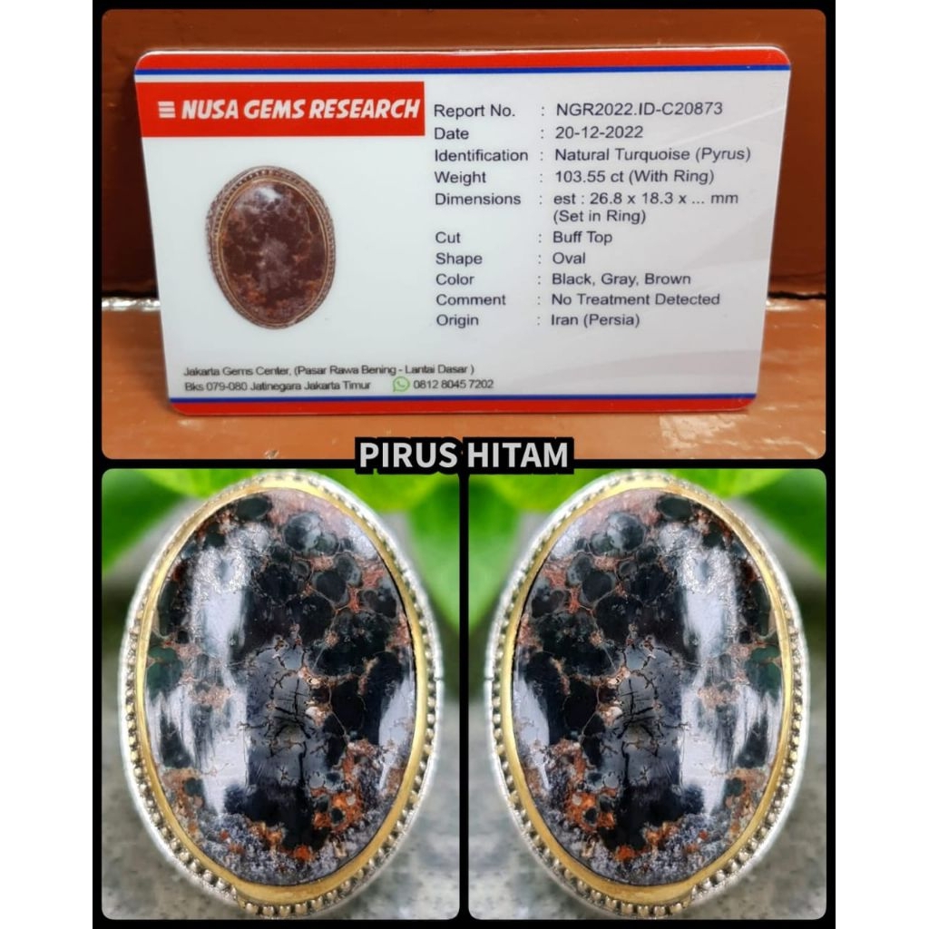 pirus hitam jumbo asli Persia iran full porslen