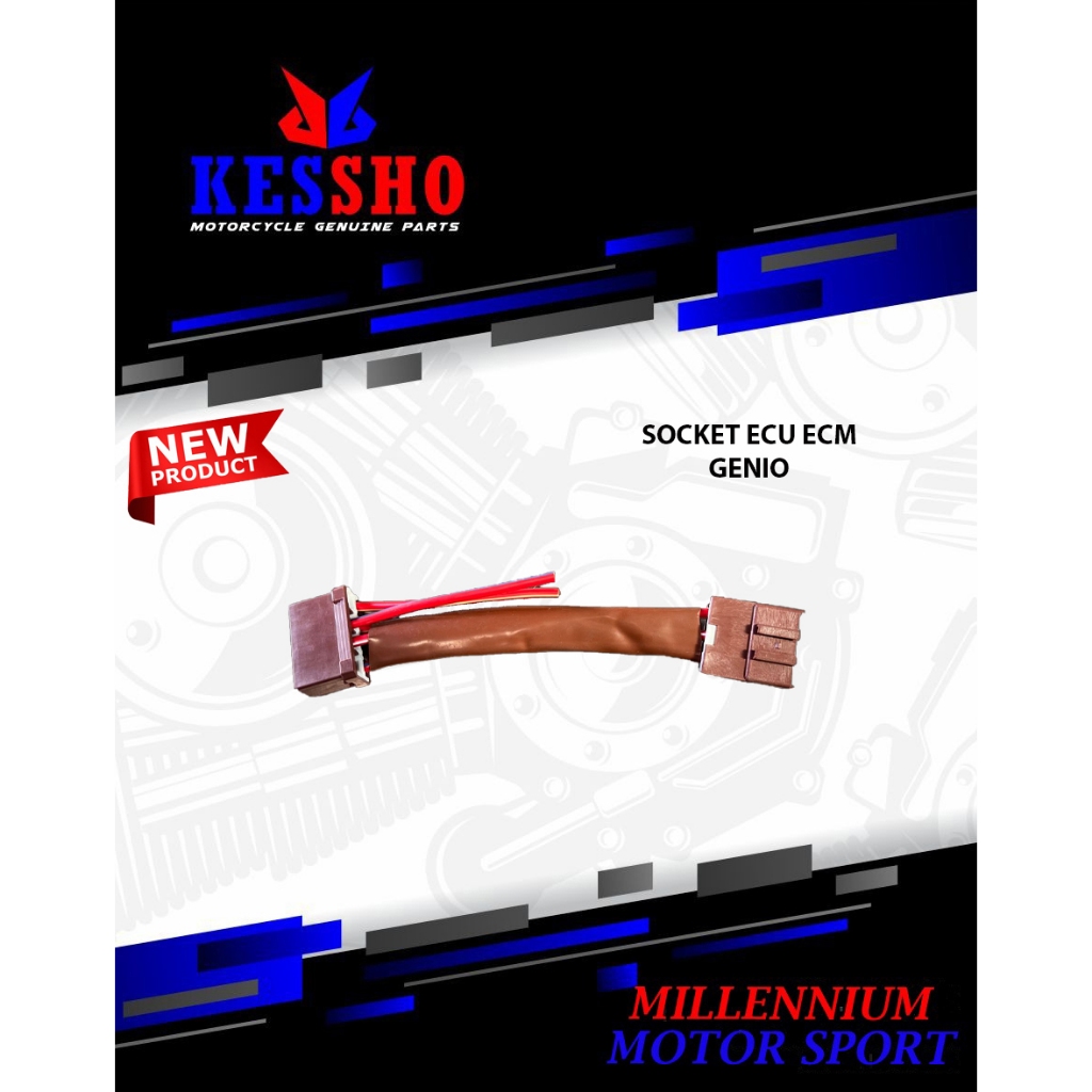 SOCKET ECU ECM GENIO