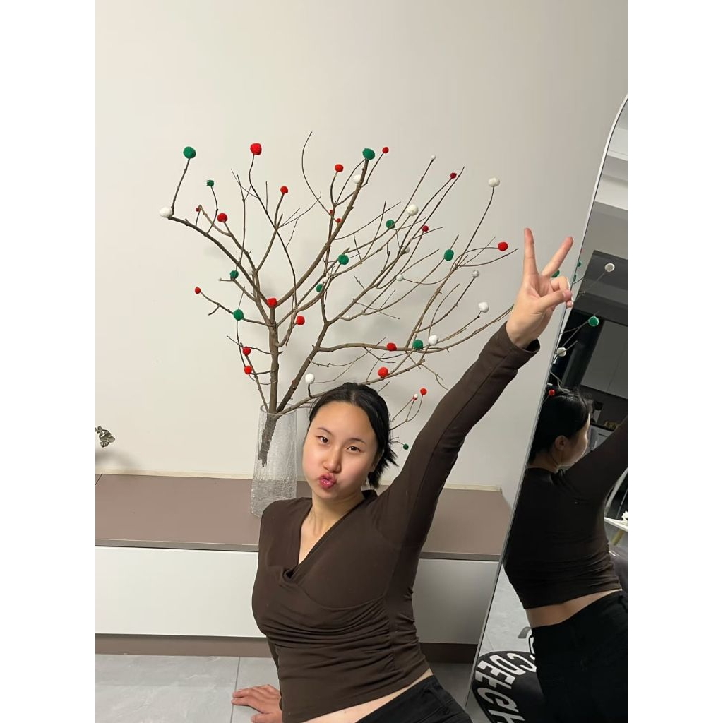 Ranting Dekorasi | Batang Pohon Bercabang | Hiasan Ruangan | Ranting Pohon Bercabang | Dekorasi Ruan