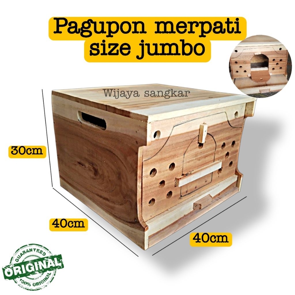 Pagupon merpati Tong pagupon size jumbo lubang 5 Teras pagupon merpati