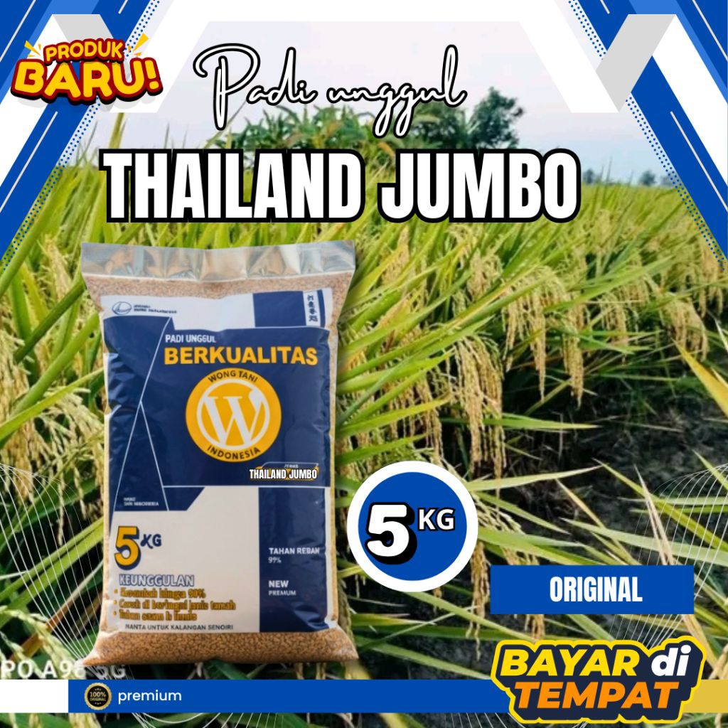 Benih padi Thailand jumbo original 5kg