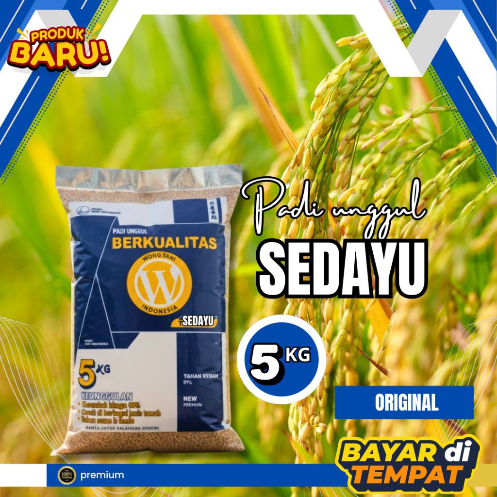 Benih padi sedayu original kemasan 5kg