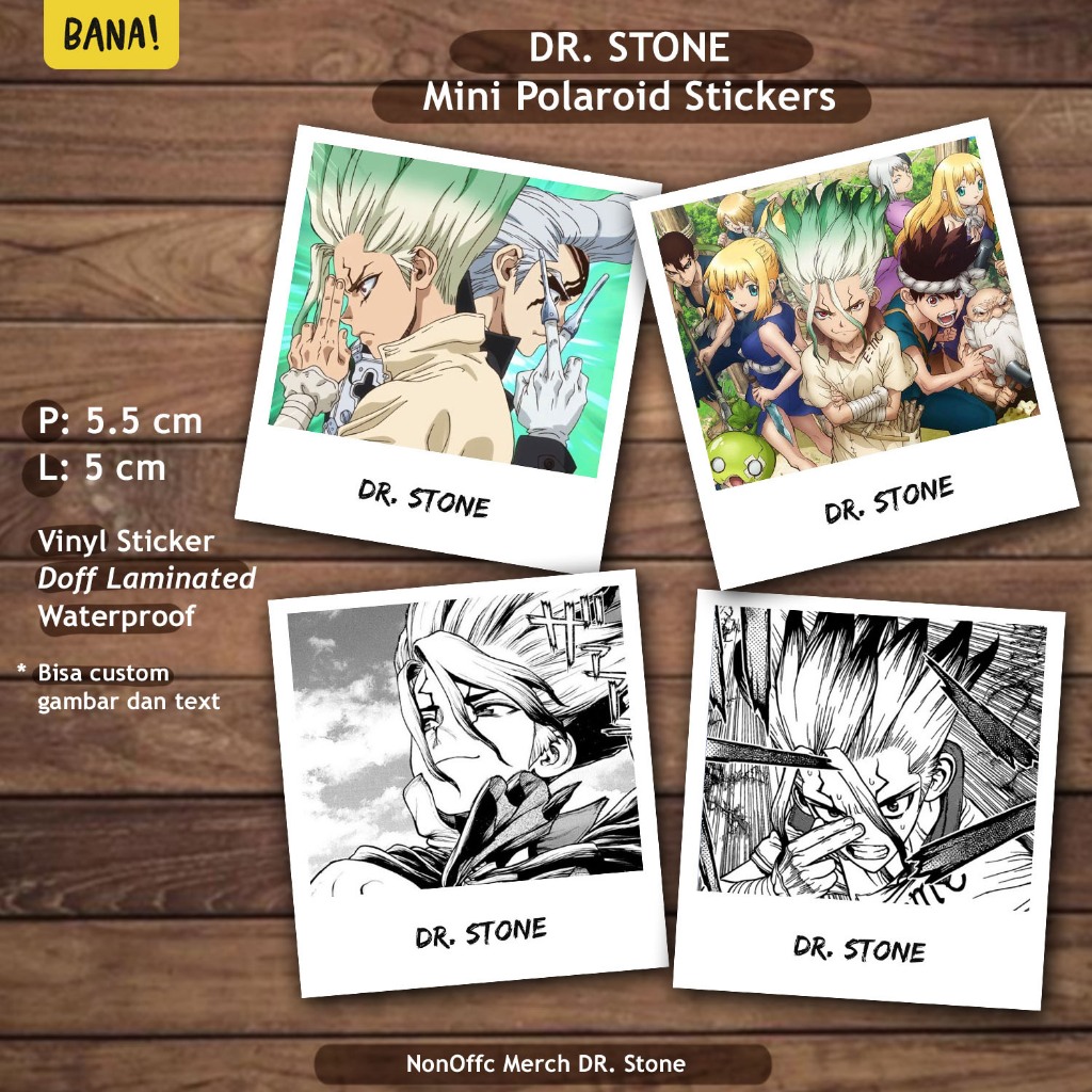 Stiker DR STONE Mini Polaroid Stiker Anime Manga Premium | BANA