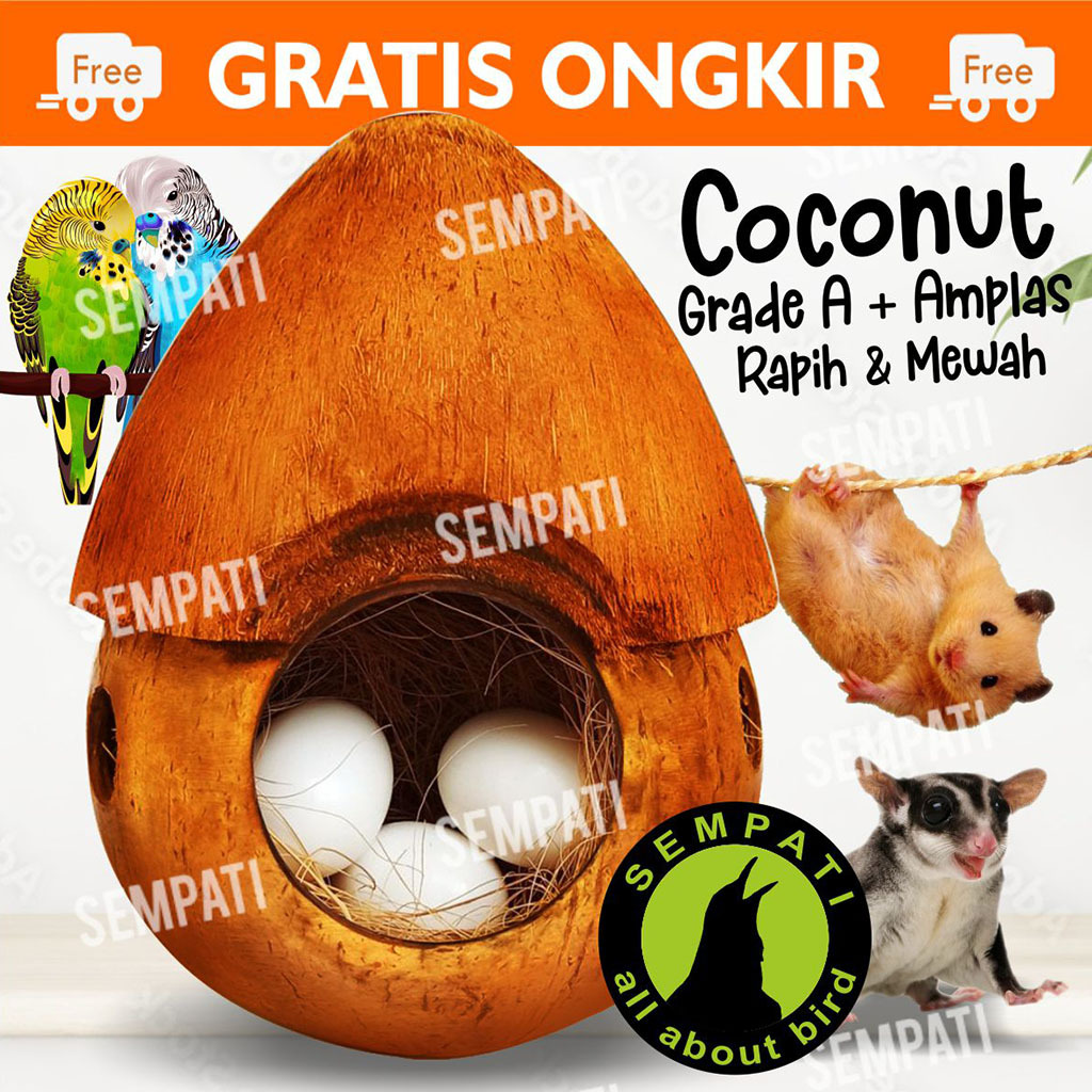 SEMPATI GLODOK BAJING JAMBUL SARANG BURUNG LOVEBIRD KENARI PARKIT SARANG TEMPAT TIDUR SUGAR GLIDER G