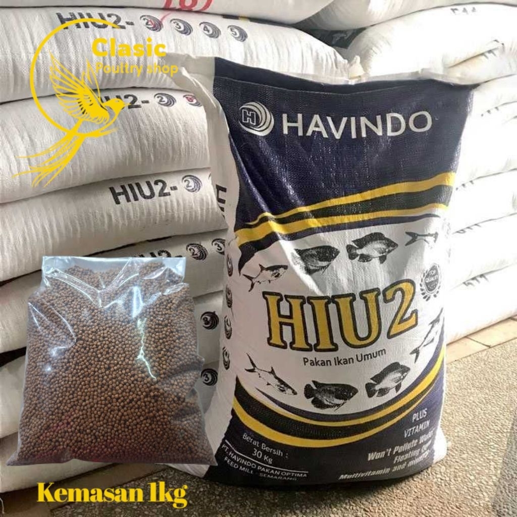 PELET APUNG Hiu 2mm & 4mm Pakan Ikan Lele/ Emas/ Nila Kemasan 1kg