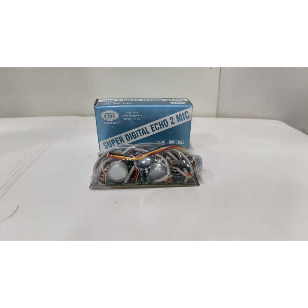 KIT GM 7003 SUPER DIGITAL ECHO 2MIC
