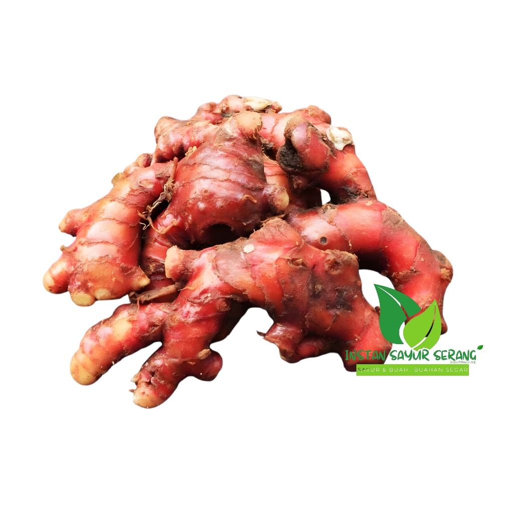INSTAN Jahe Merah Segar 250 gram