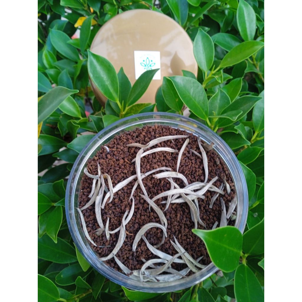 HERBAL TEA Tea original teh herbal teh premium teh hitam putih