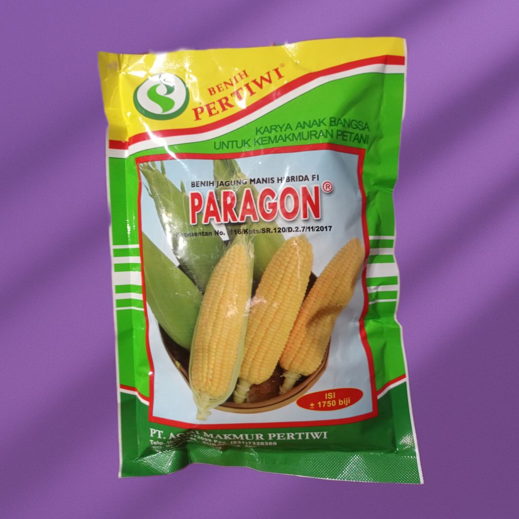 Benih jagung manis PARAGON