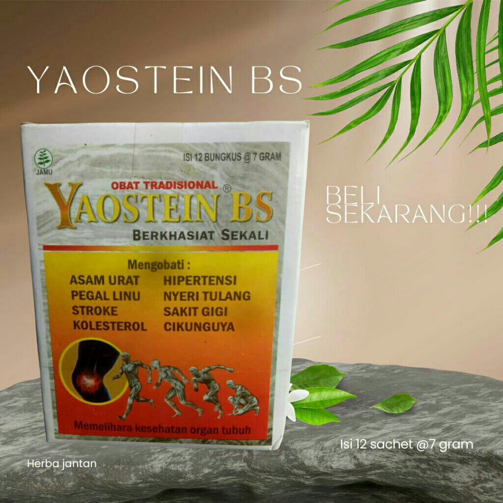 Yaostein BS Serbuk Original