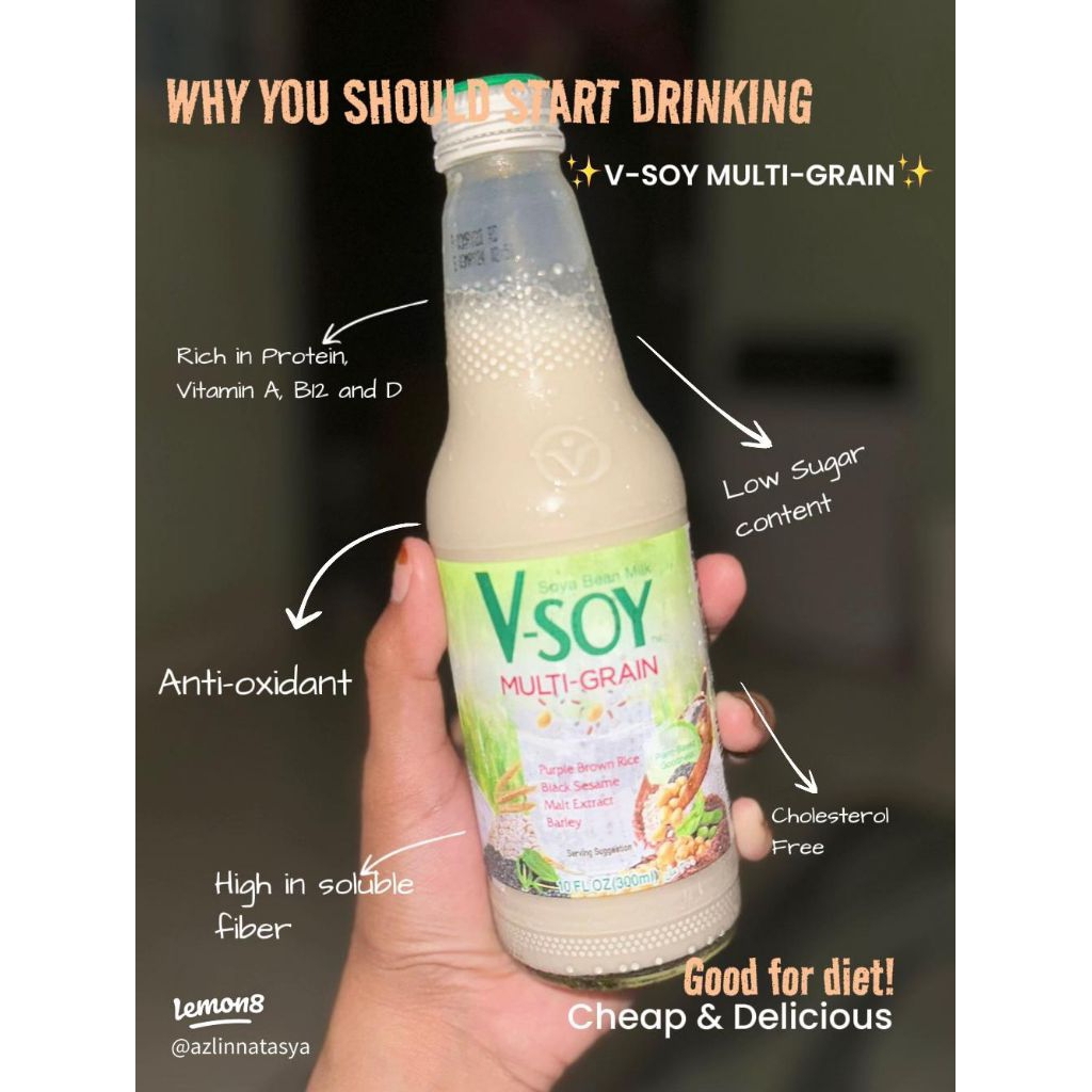 V-SOY susu