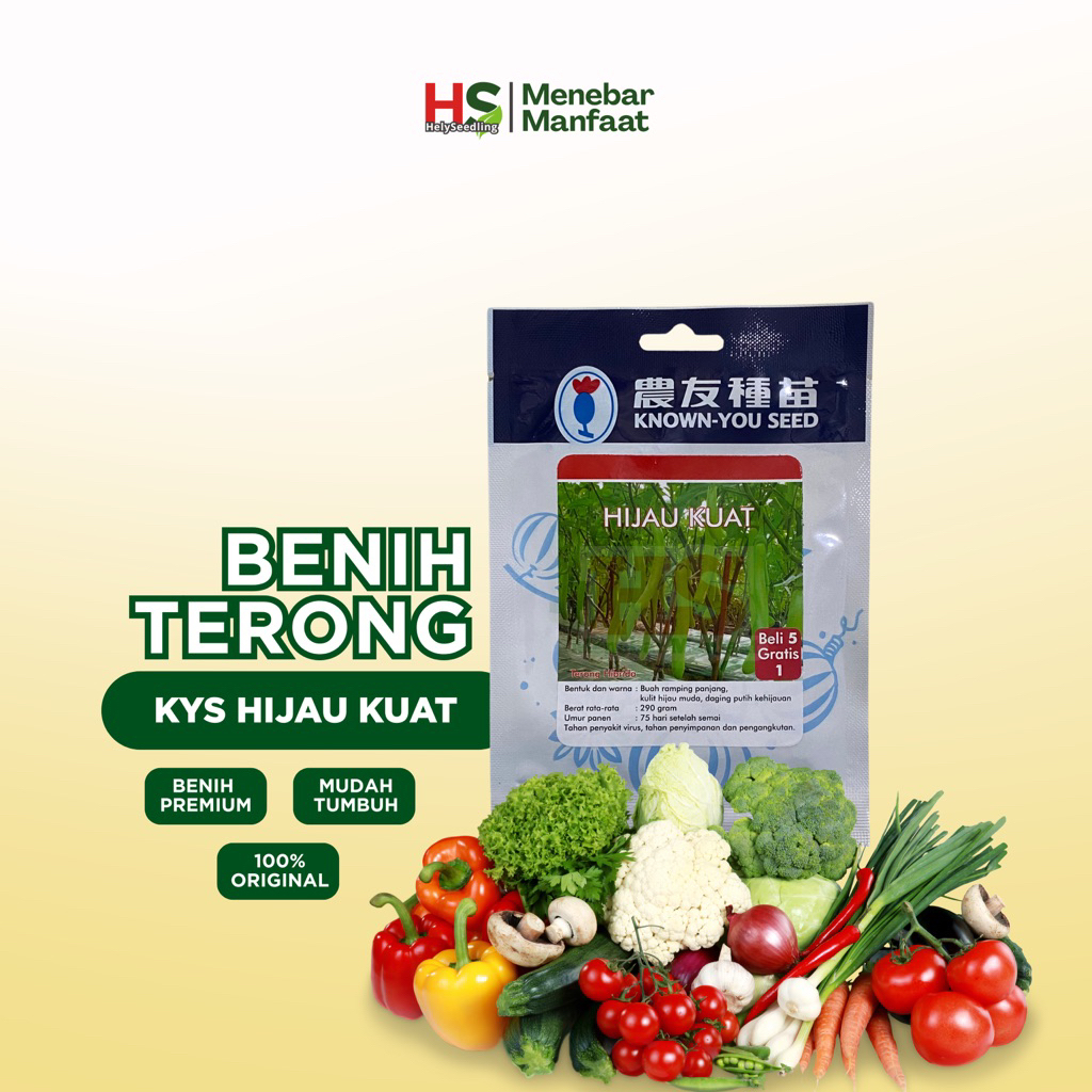 Terong Hijau Kuat - Known You Seed (ORIGINAL)