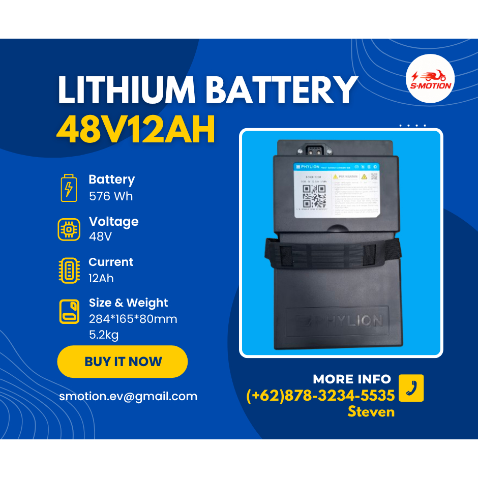 Phylion Lithium Battery 48V12Ah