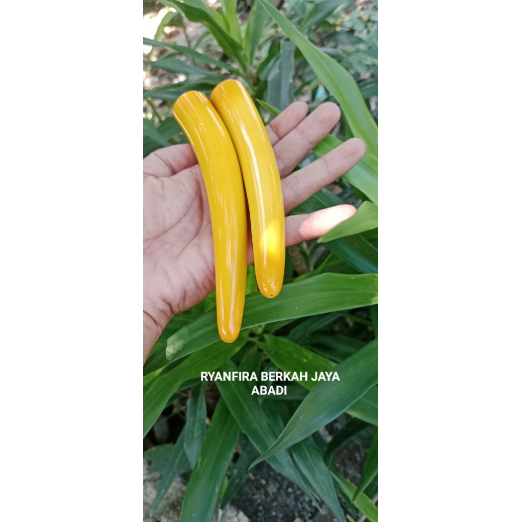 Once Model Lawasan sriGG