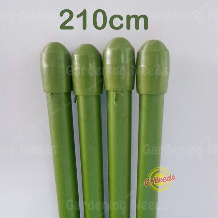 Ajir Tanaman / Plant Stake 11 X 2100Mm (210Cm)