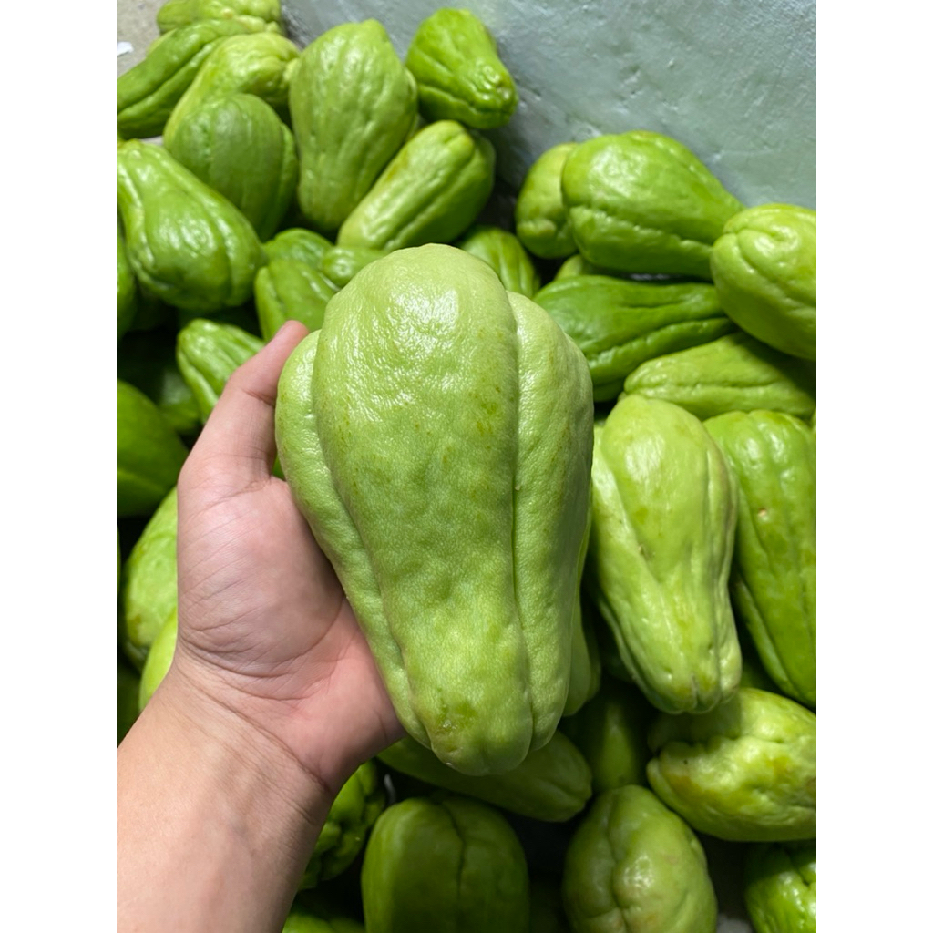 Labu Siam Segar untuk sayur tumis labu siam 1Kg