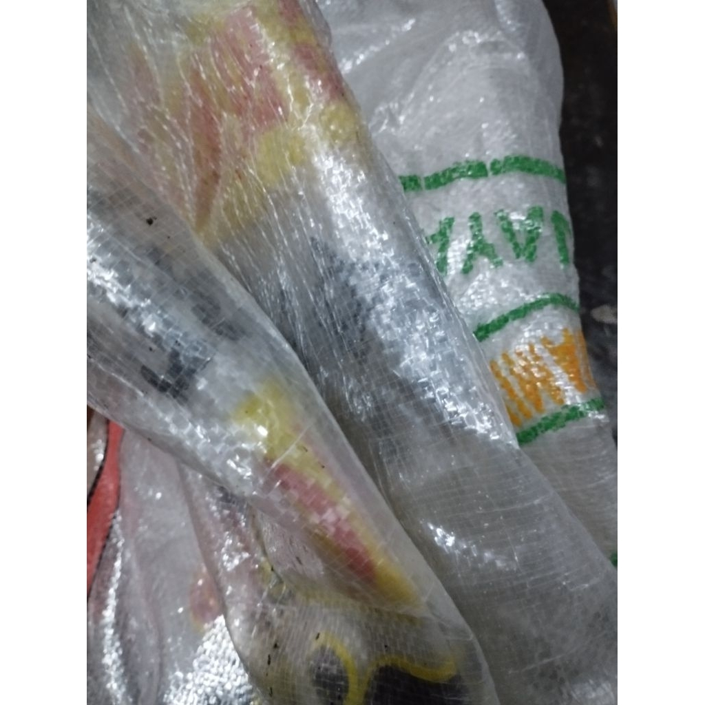 Karung bekas beras transparan 50 kg
