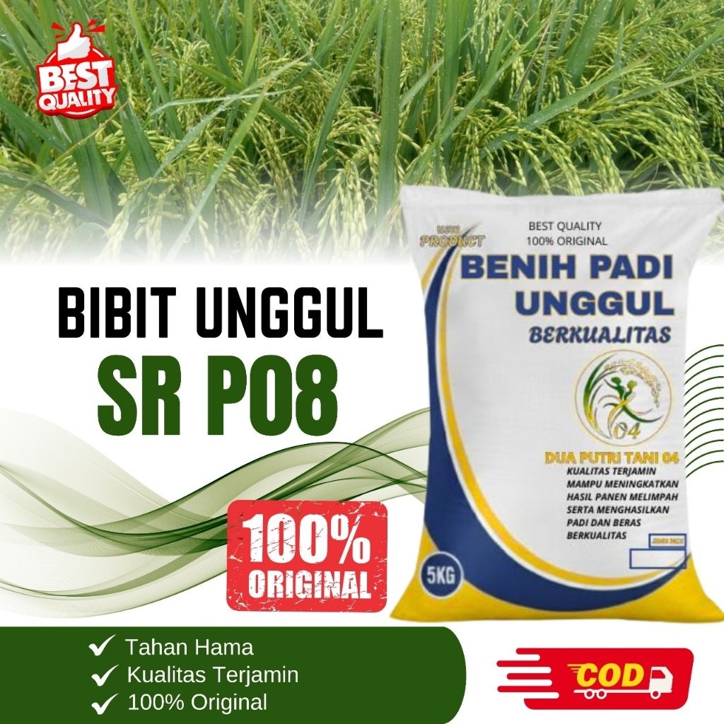 bibit PADI SR P 08 bibit paling unggul kemasan 5kg