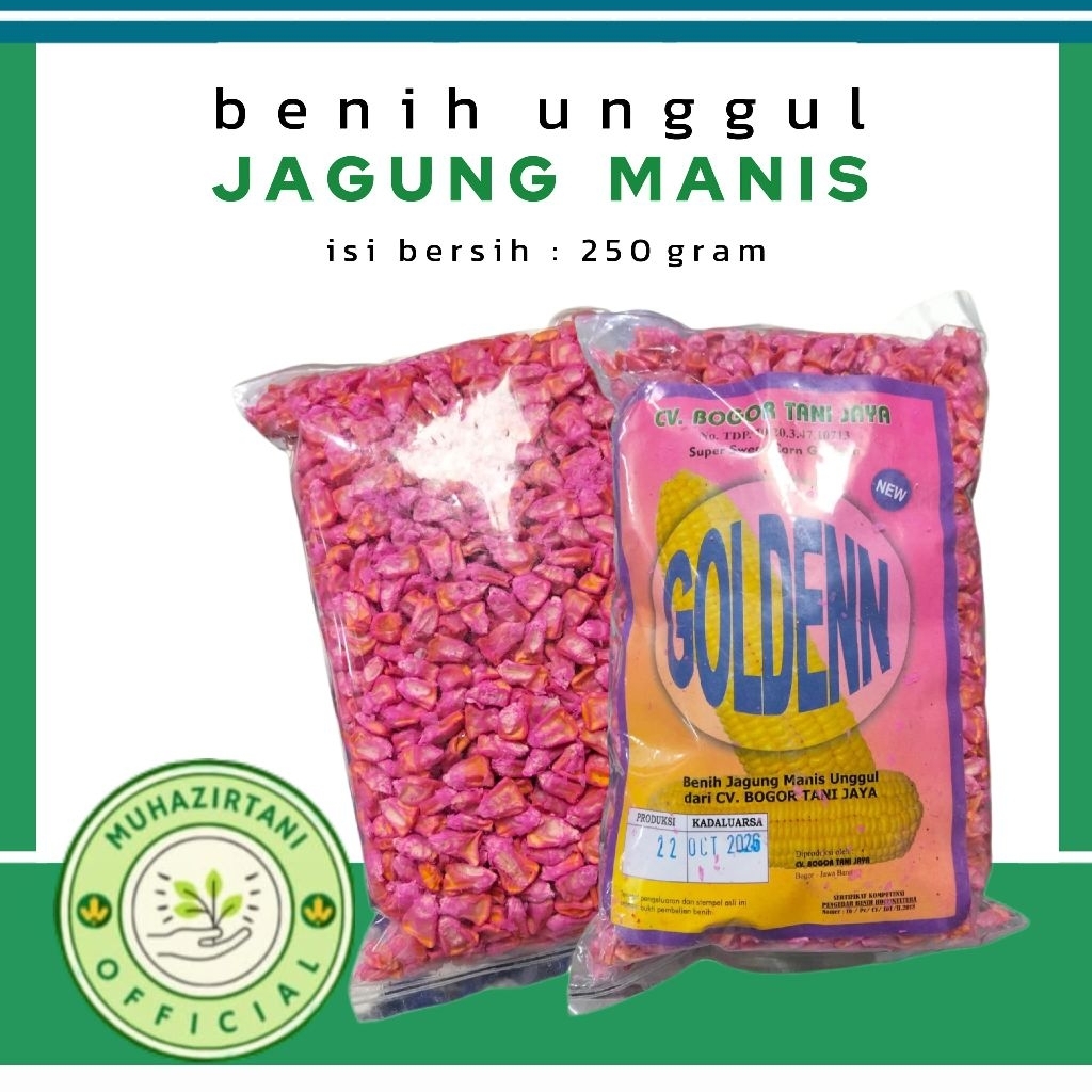 Benih Jagung Manis Unggul GOLDEN isi 250gram Benih Jagung Super